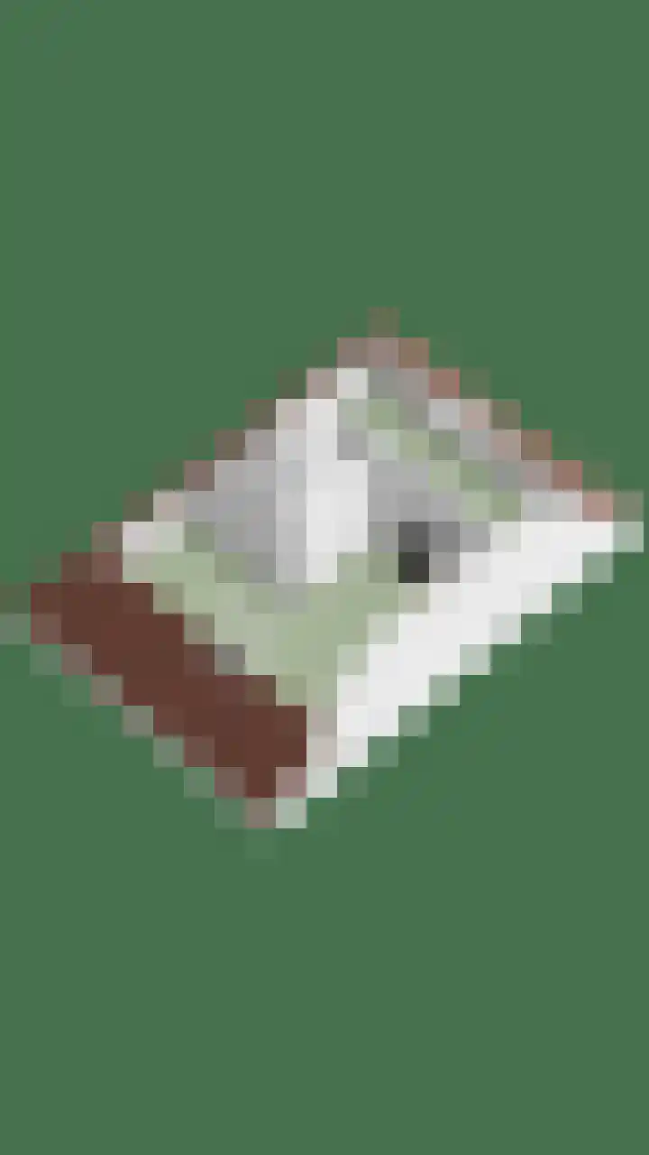 IJsselvallei 10 Kampen thumbnail 62