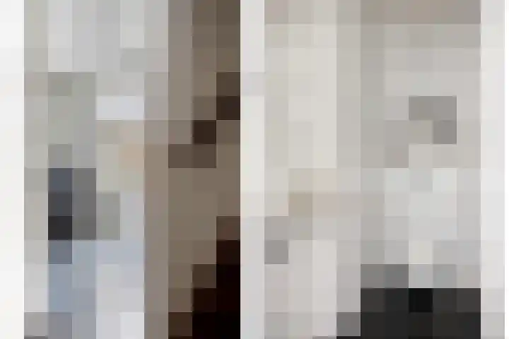 IJsselvallei 17 Kampen thumbnail 16