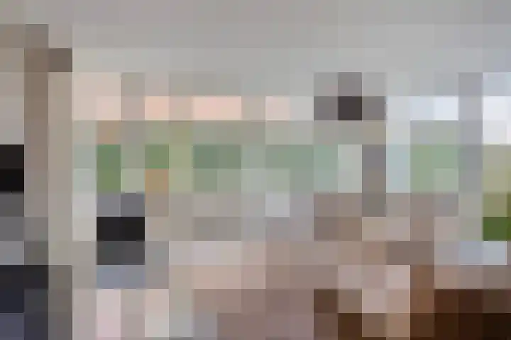 IJsselvallei 17 Kampen thumbnail 18
