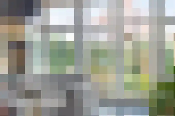 IJsselvallei 17 Kampen thumbnail 21