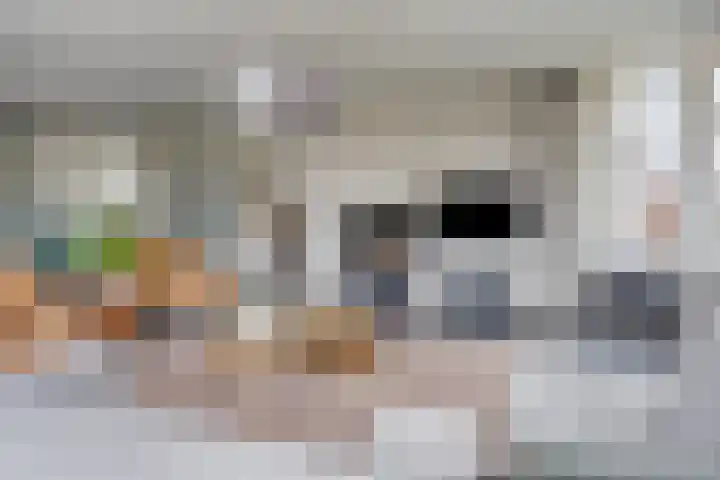 IJsselvallei 17 Kampen thumbnail 22