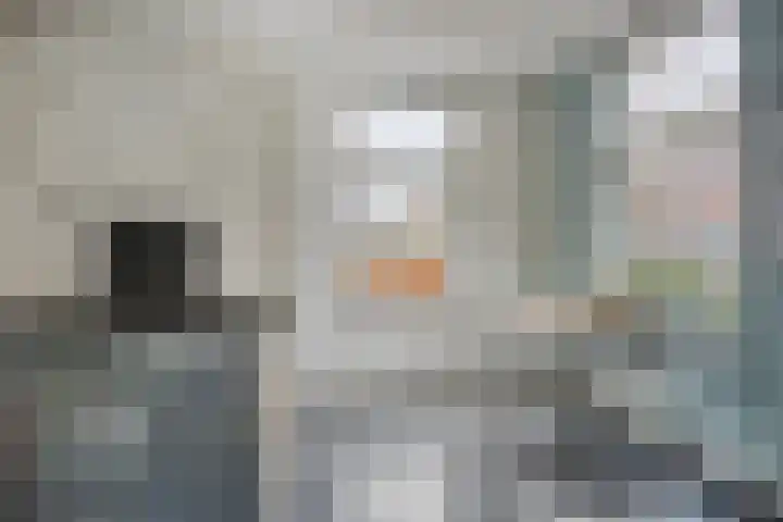 IJsselvallei 17 Kampen thumbnail 35