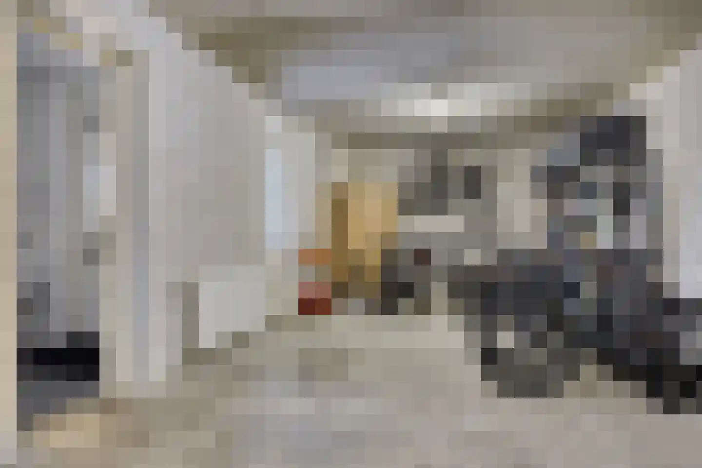 IJsselvallei 17 Kampen thumbnail 41