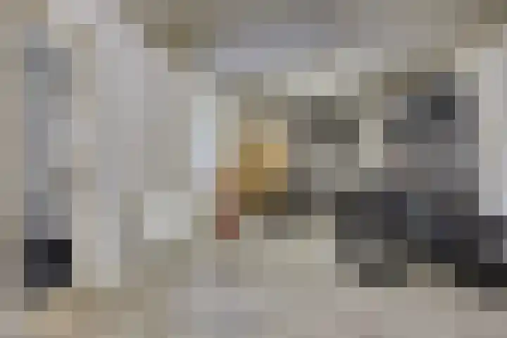 IJsselvallei 17 Kampen thumbnail 41
