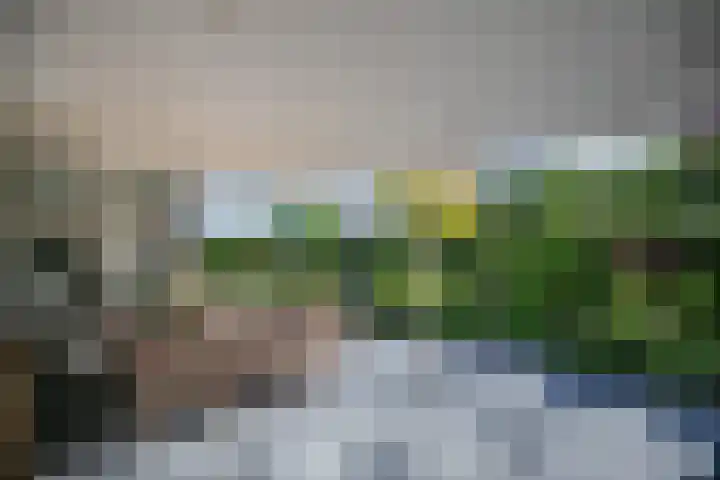 IJsselvallei 17 Kampen thumbnail 6