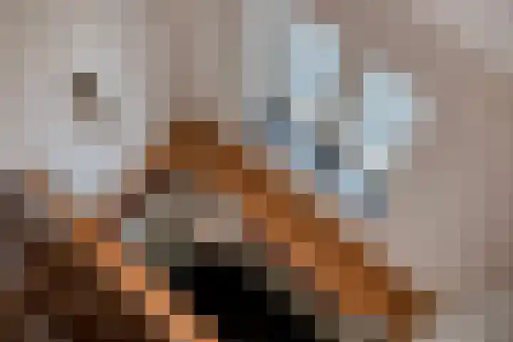 IJsselvallei 17 Kampen thumbnail 64