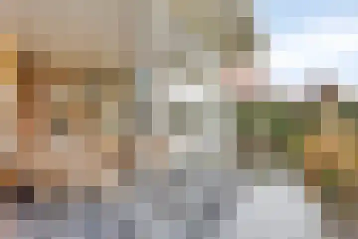 IJsselvallei 17 Kampen thumbnail 66