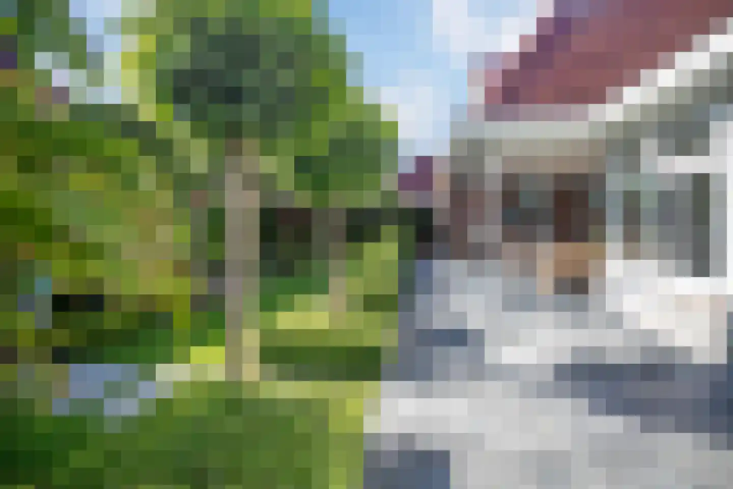 IJsselvallei 17 Kampen thumbnail 7
