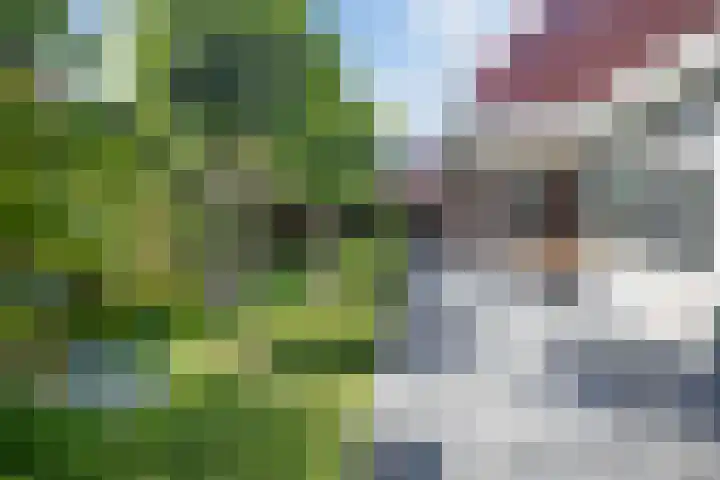 IJsselvallei 17 Kampen thumbnail 7