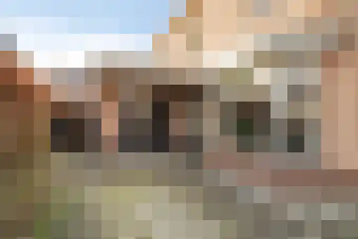 IJsselvallei 6 Kampen thumbnail 11