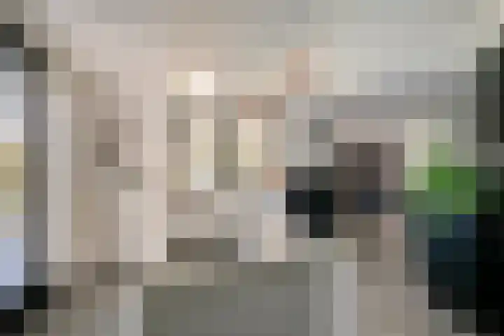 IJsselvallei 6 Kampen thumbnail 31