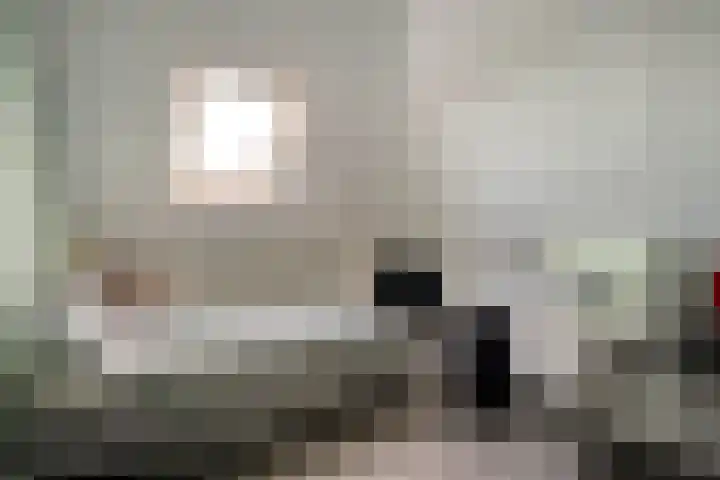 IJsselvallei 6 Kampen thumbnail 49