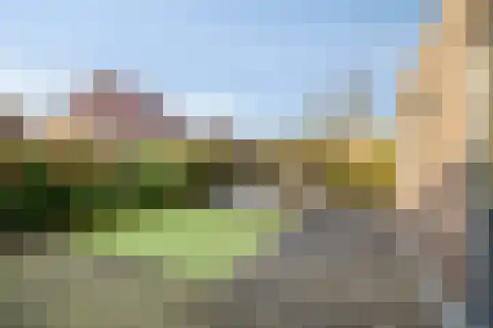 IJsselvallei 6 Kampen thumbnail 52