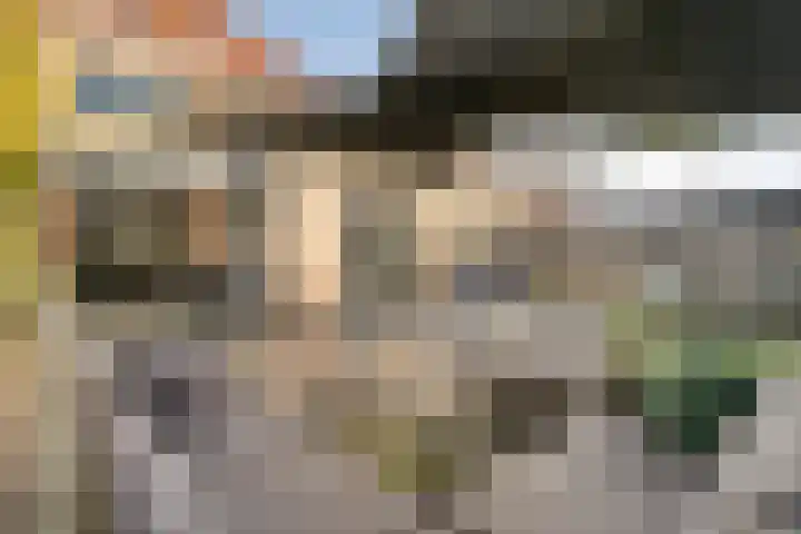 IJsselvallei 6 Kampen thumbnail 6