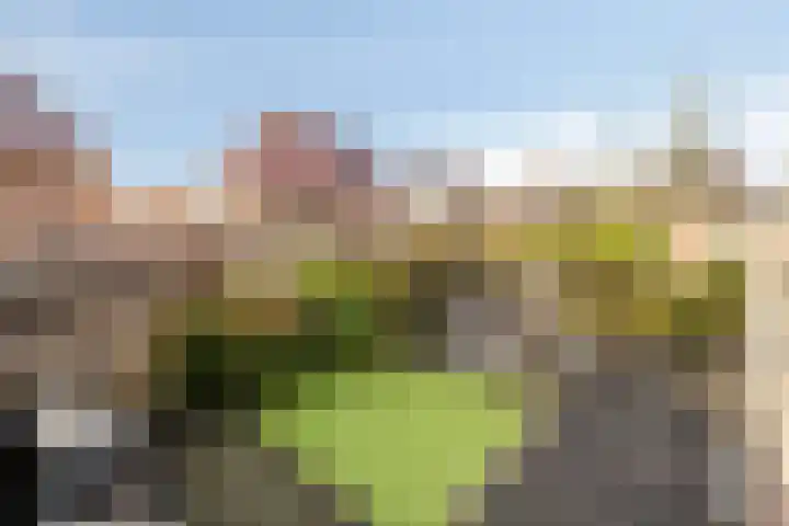 IJsselvallei 6 Kampen thumbnail 7
