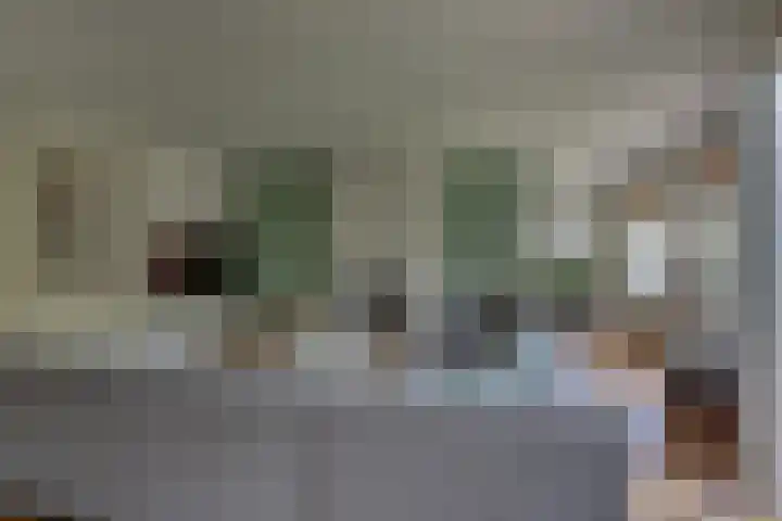 IJsselvallei 9 Kampen thumbnail 22
