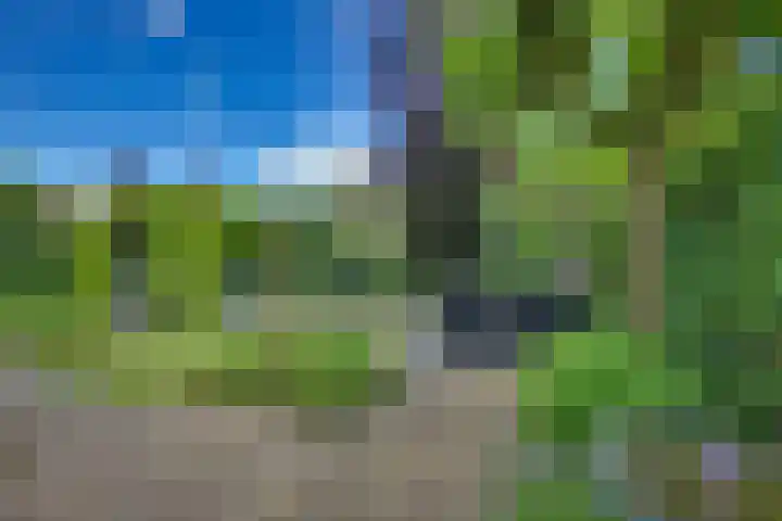 IJsselvallei 9 Kampen thumbnail 33