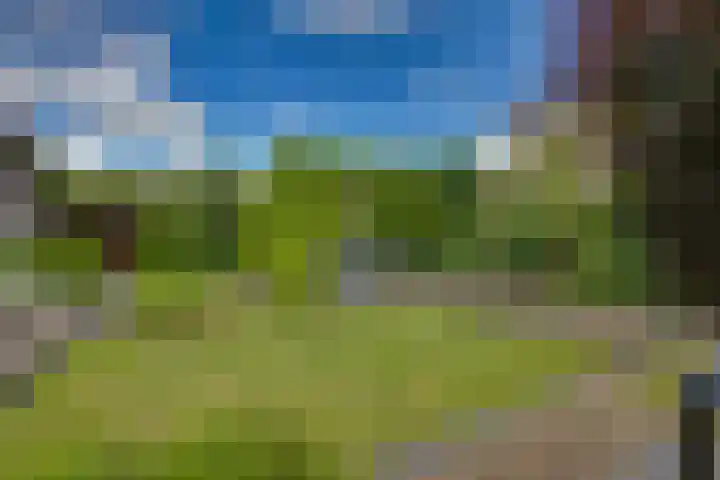 IJsselvallei 9 Kampen thumbnail 34