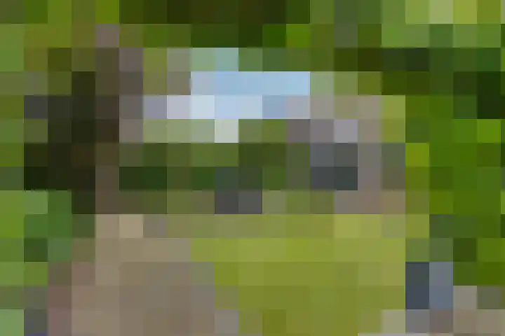 IJsselvallei 9 Kampen thumbnail 35