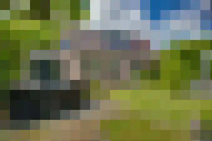 IJsselvallei 9 Kampen thumbnail 36