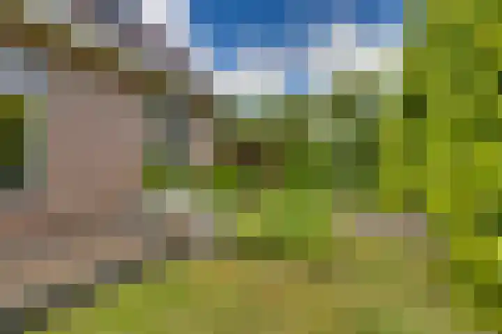 IJsselvallei 9 Kampen thumbnail 37