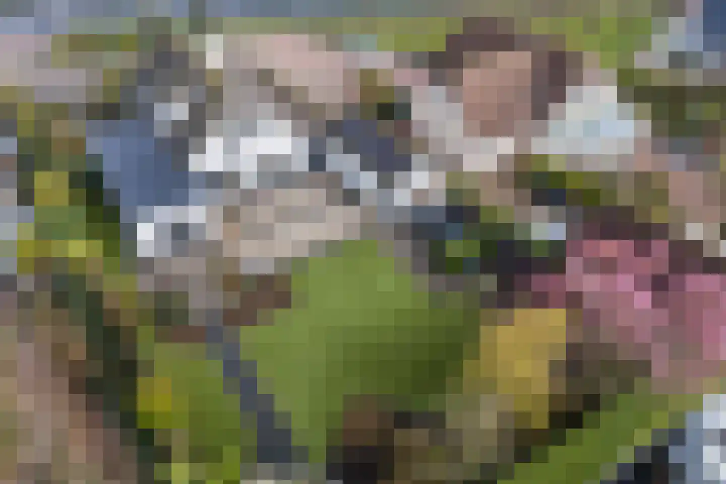 IJsselveld 10 B Montfoort thumbnail 4