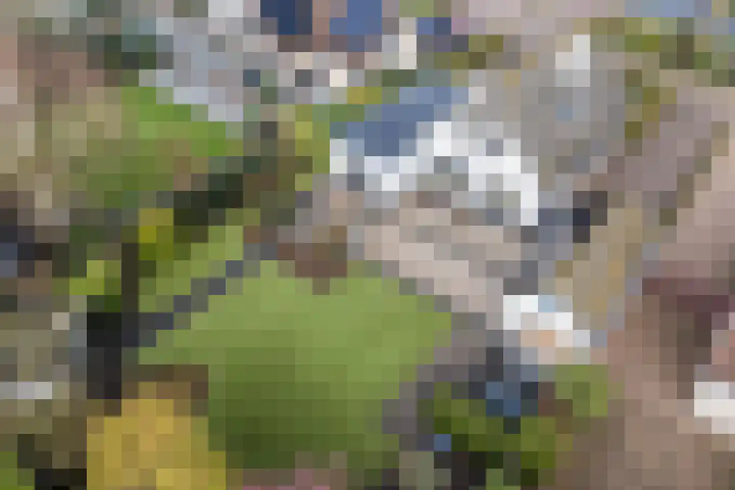 IJsselveld 10 B Montfoort thumbnail 40