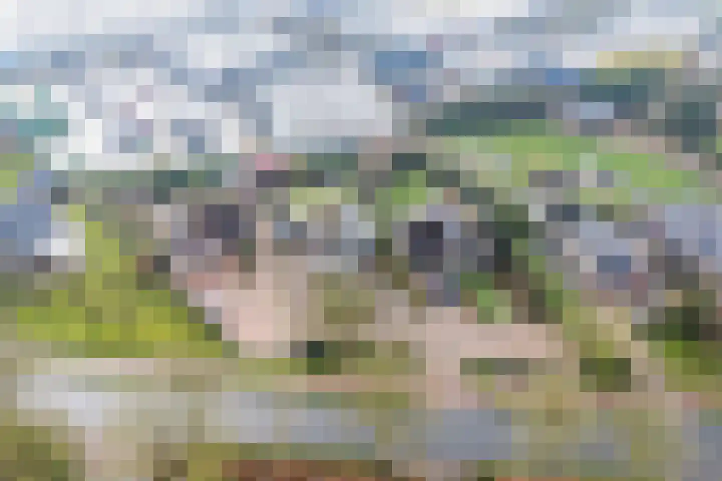 IJsselveld 10 B Montfoort thumbnail 48