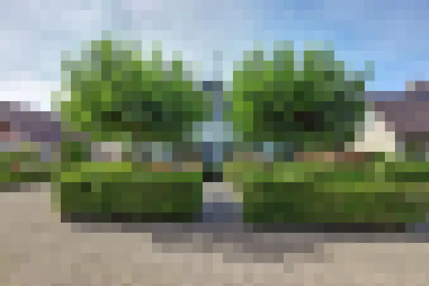 IJsselveld 10 B Montfoort thumbnail 5