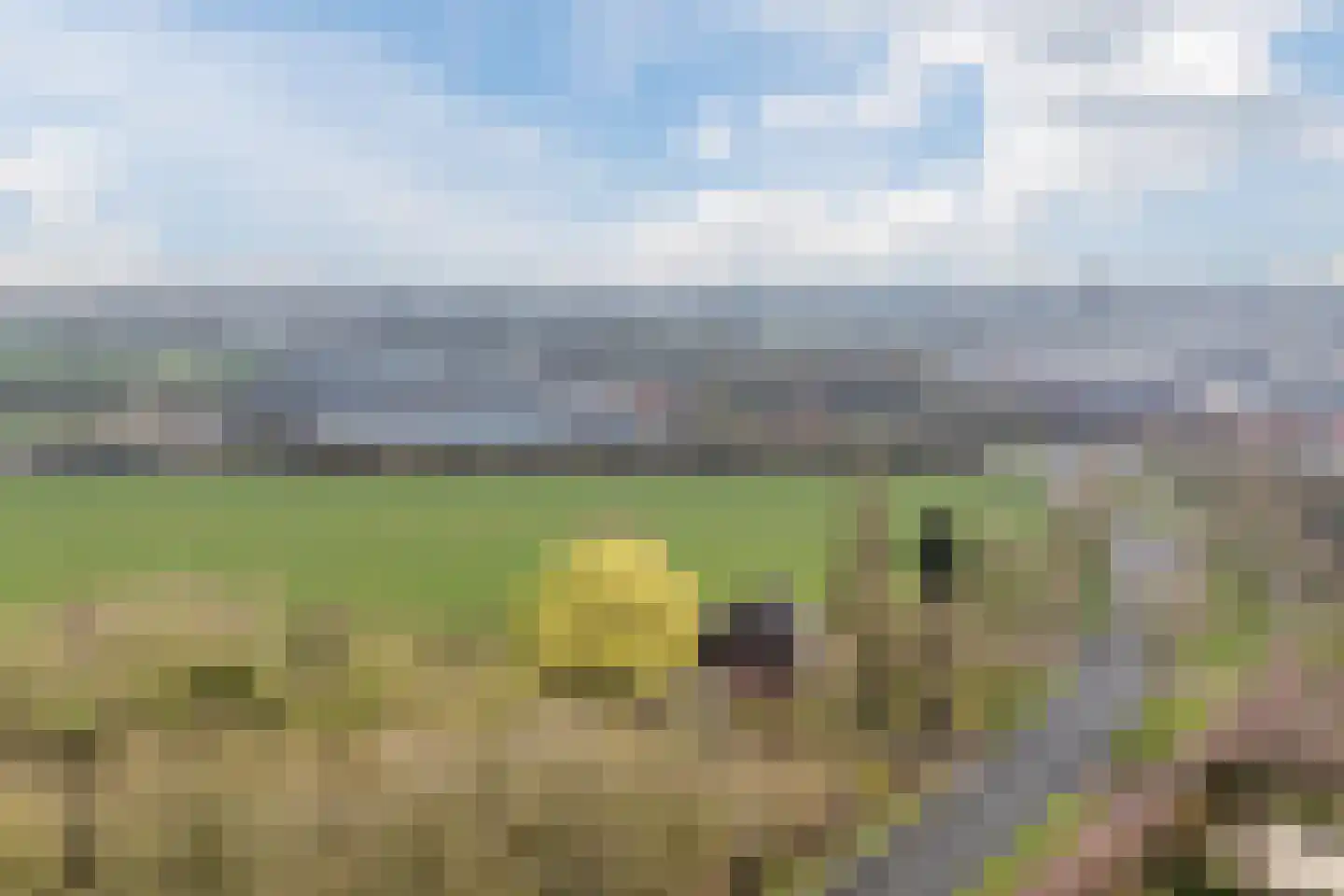 IJsselveld 10 B Montfoort thumbnail 50