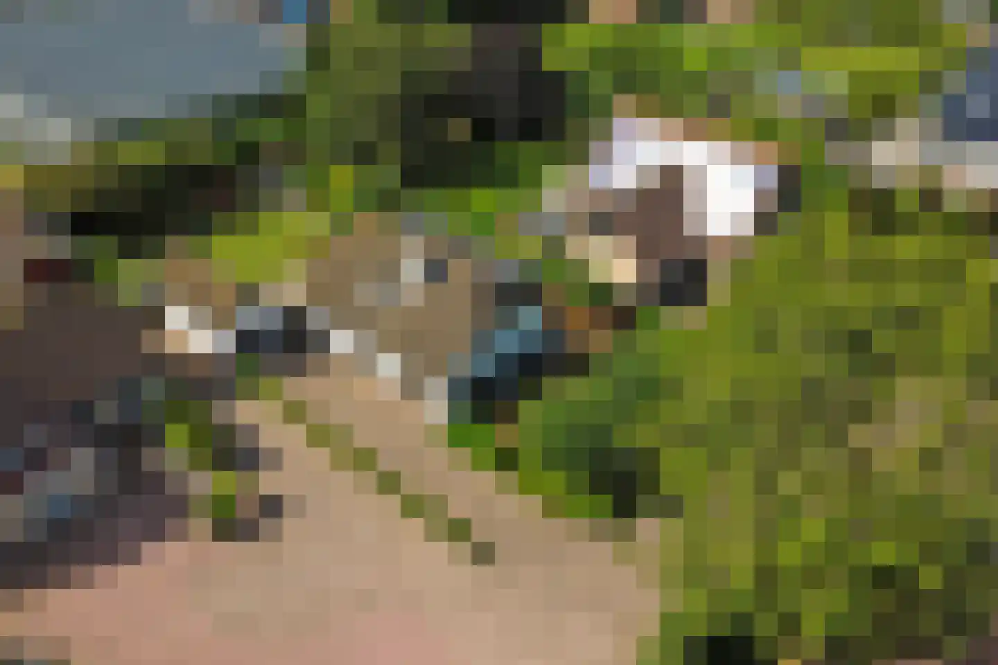 IJsselveld 10 B Montfoort thumbnail 58