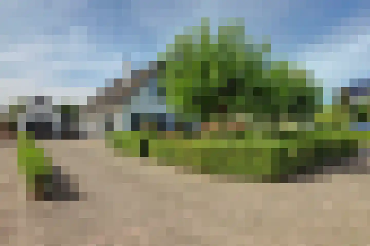 IJsselveld 10 B Montfoort thumbnail 6