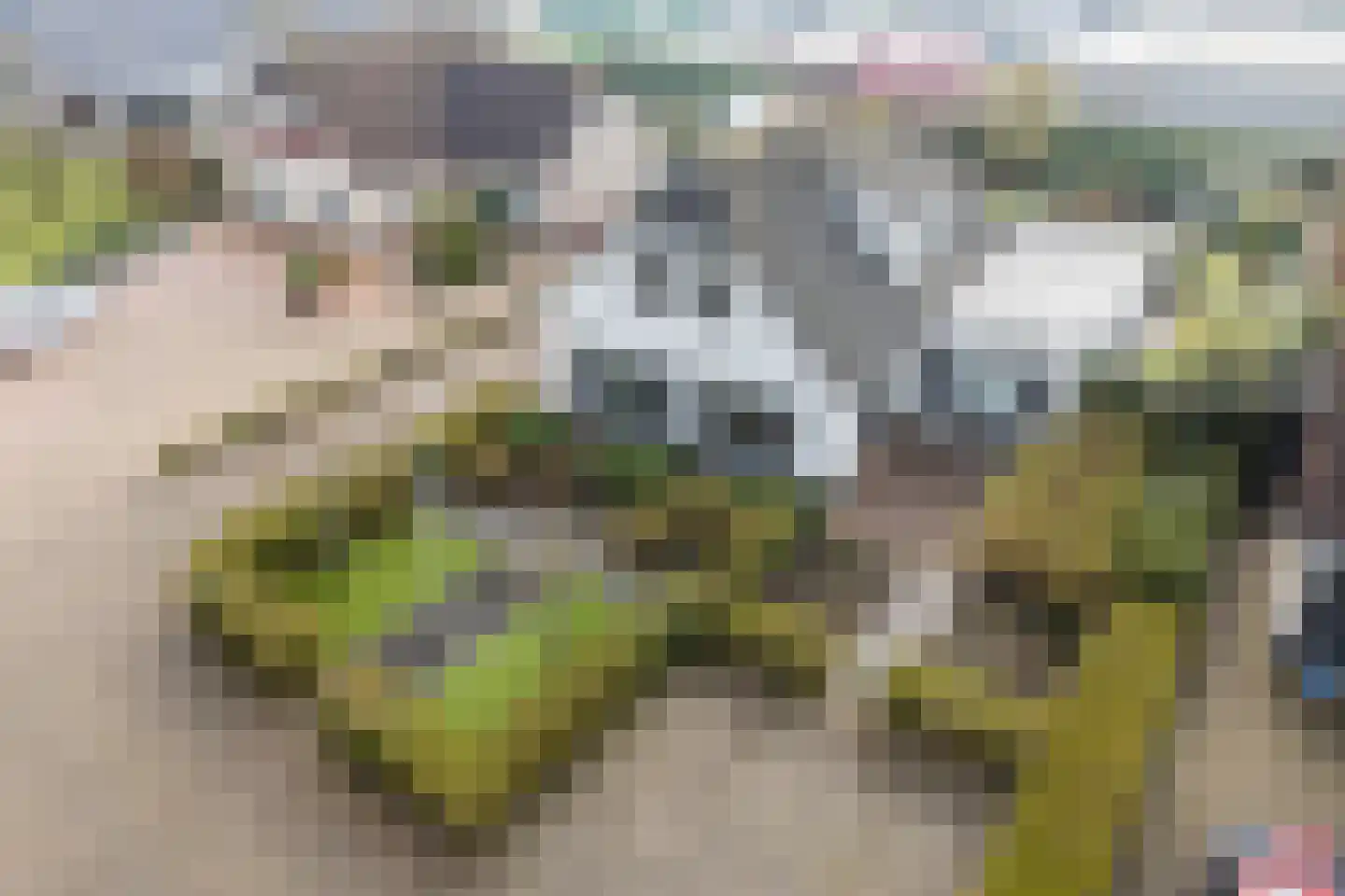 IJsselveld 10 B Montfoort thumbnail 6