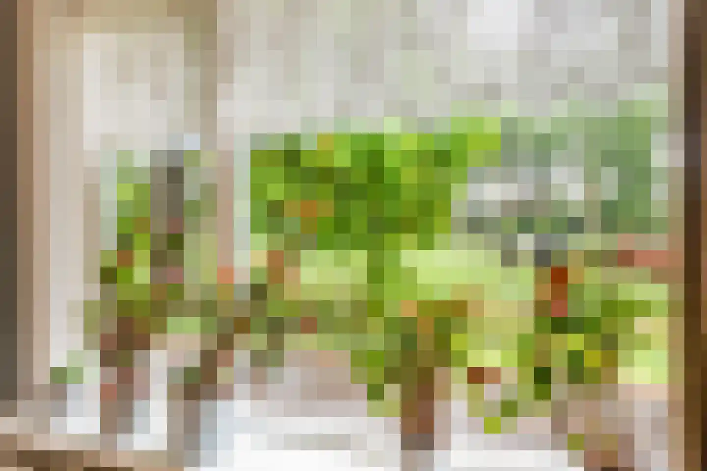 IJsselveld 25 Montfoort thumbnail 25