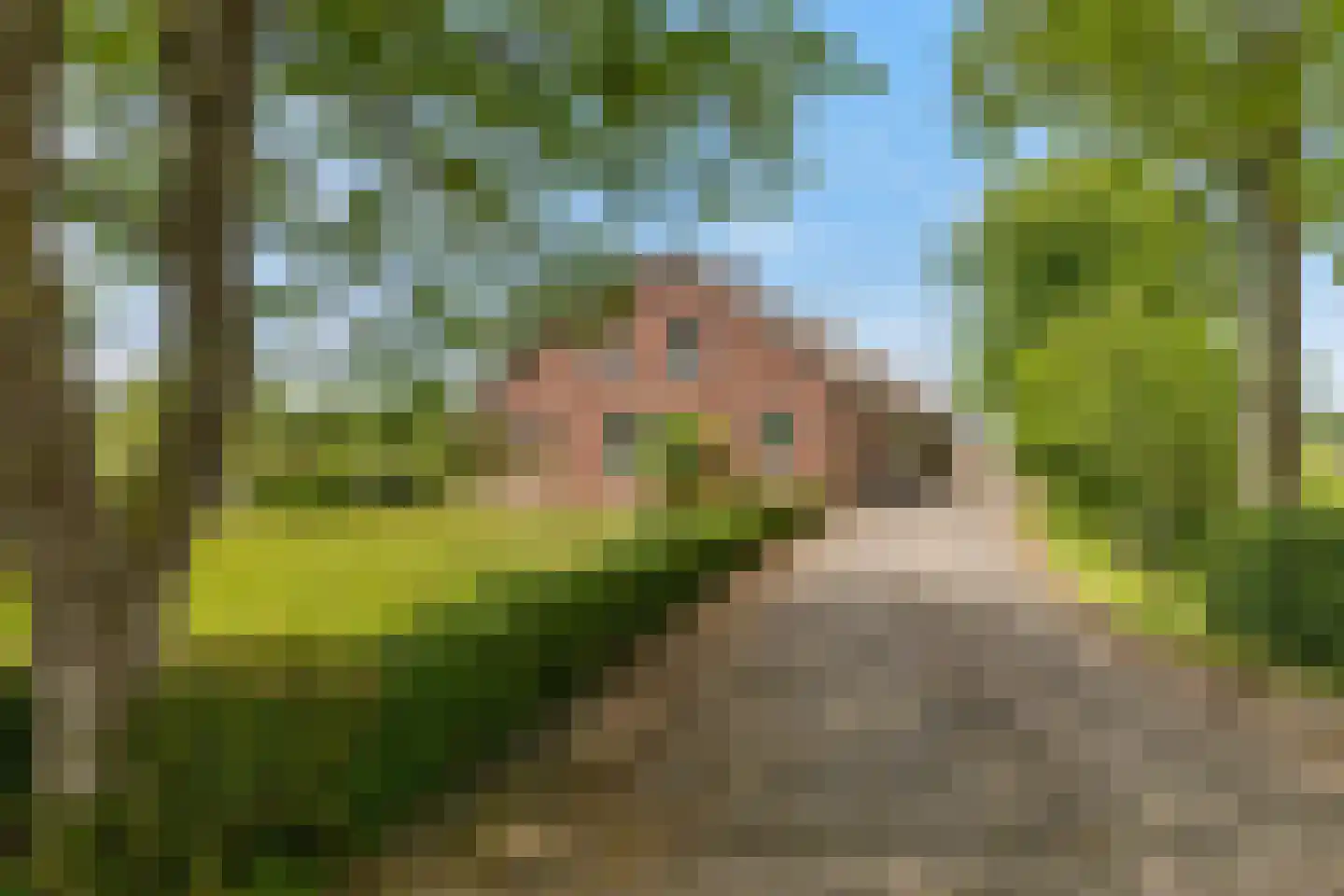 IJsselveld 25 Montfoort thumbnail 4