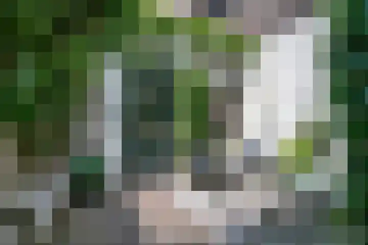 IJsselvere 1 Oudewater thumbnail 13