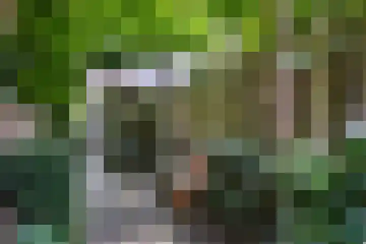 IJsselvere 1 Oudewater thumbnail 14