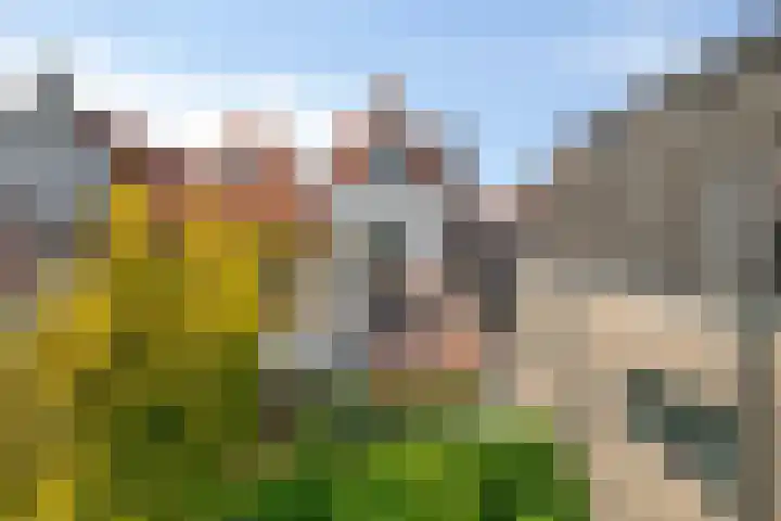 IJsselvere 1 Oudewater thumbnail 16