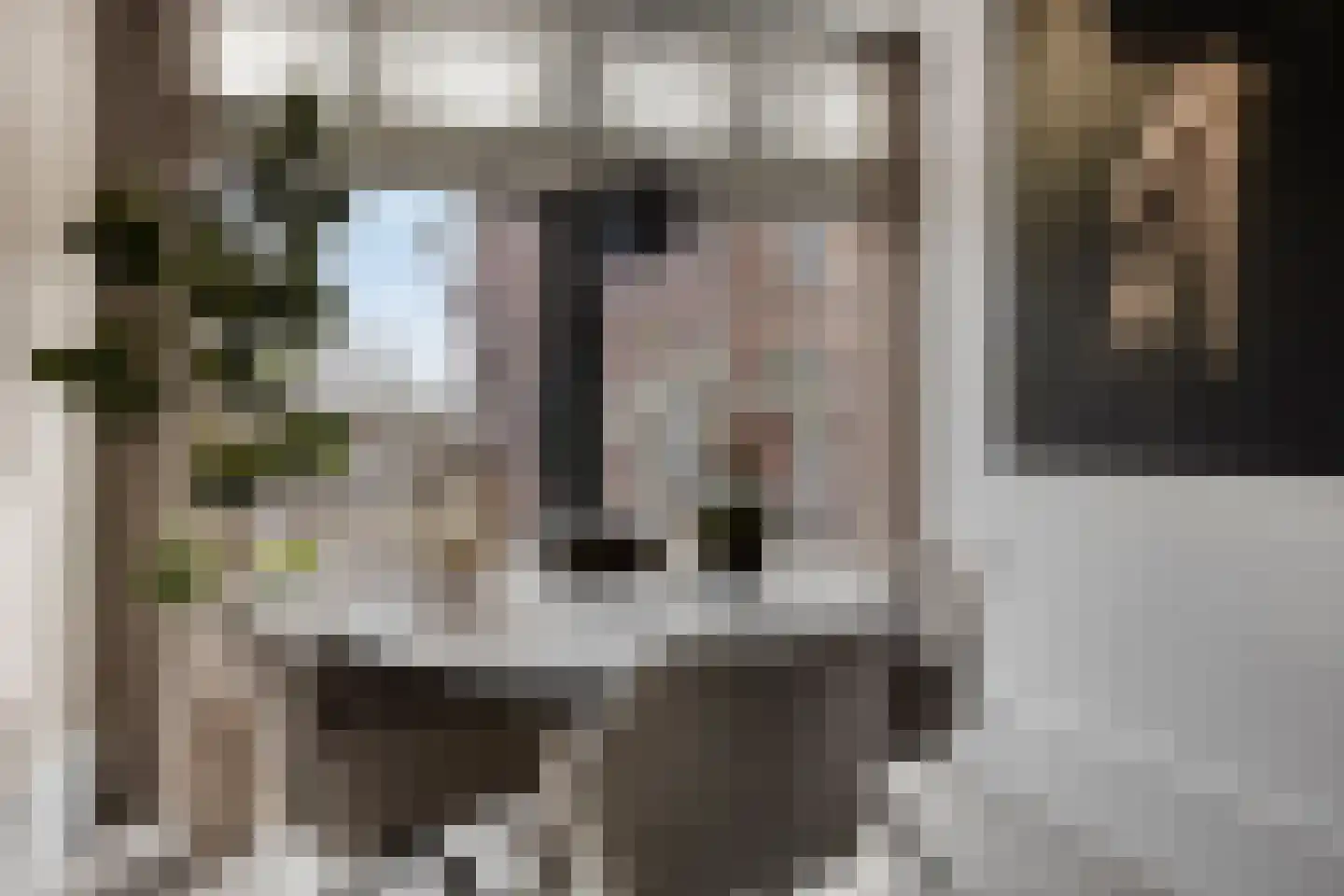 IJsselvere 2 Oudewater thumbnail 11