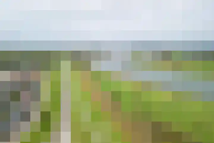 IJsselwaard 14 Kampen thumbnail 4