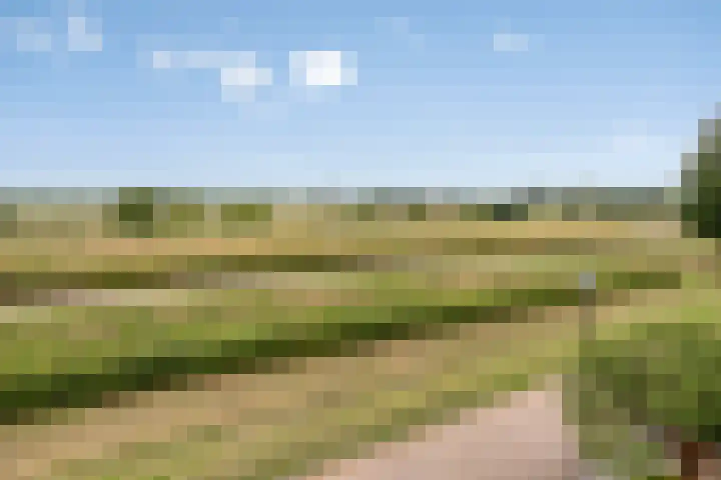 IJsselwaard 16 Kampen thumbnail 34