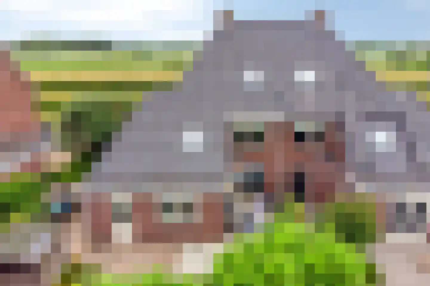 IJsselwaard 18 Kampen thumbnail 59