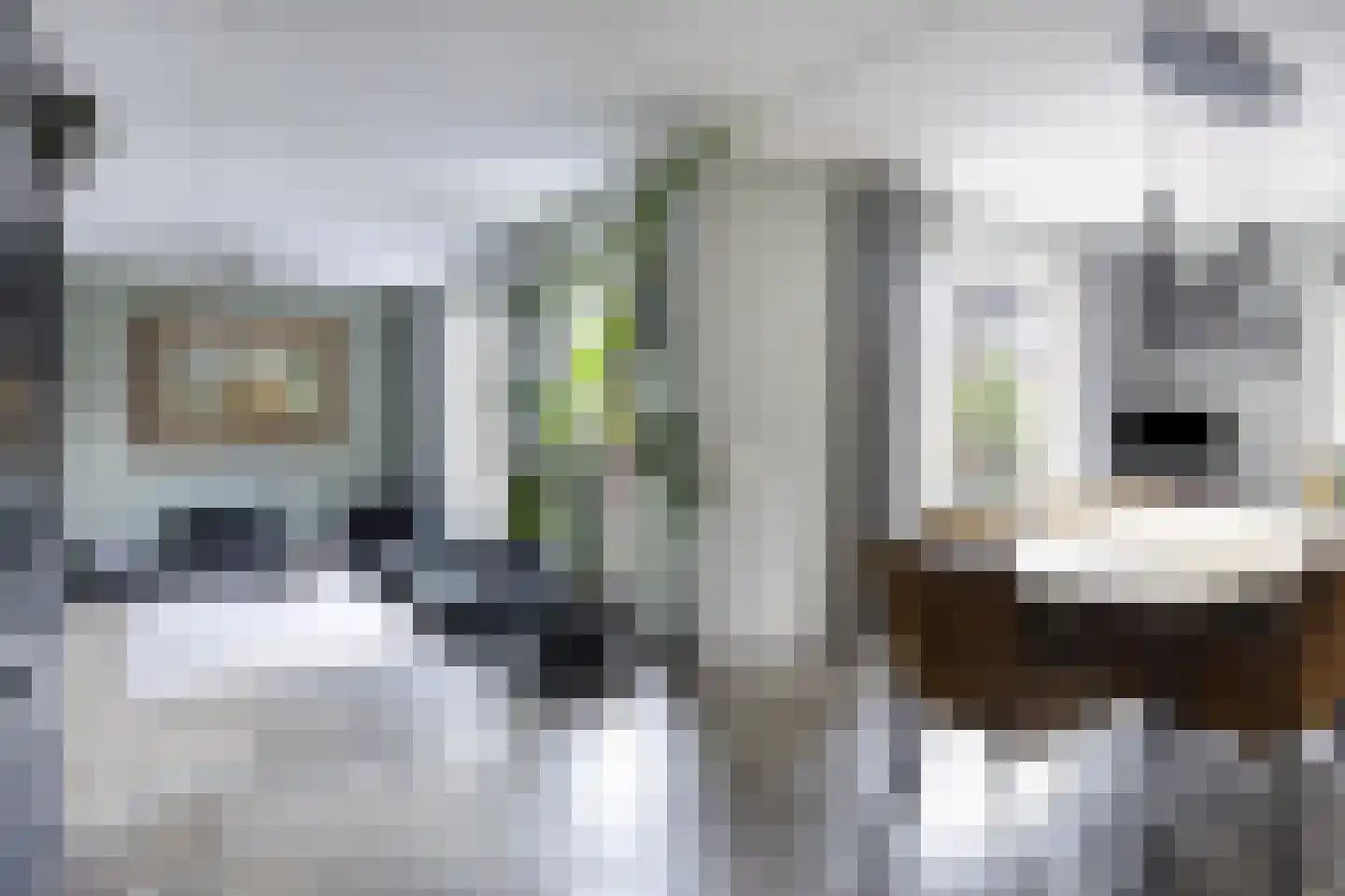 IJsselwaard 34 Kampen thumbnail 15
