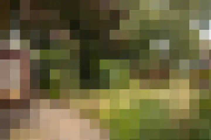 IJsselweg 10 Terborg thumbnail 32