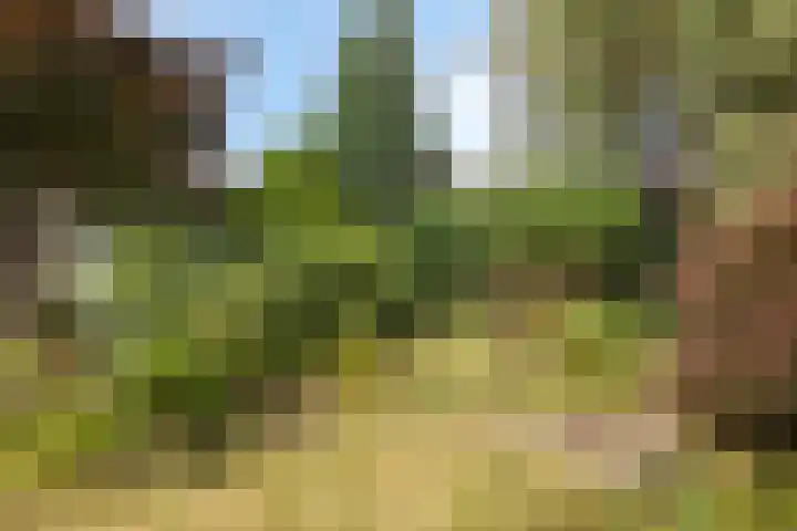 IJsselweg 10 Terborg thumbnail 33