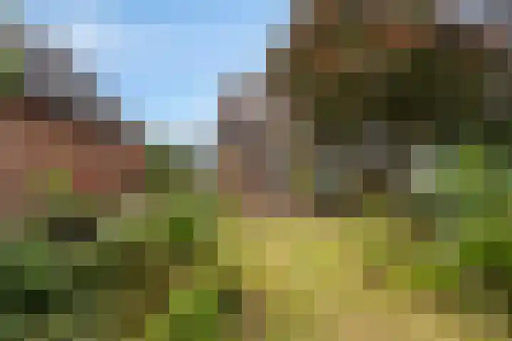 IJsselweg 10 Terborg thumbnail 35
