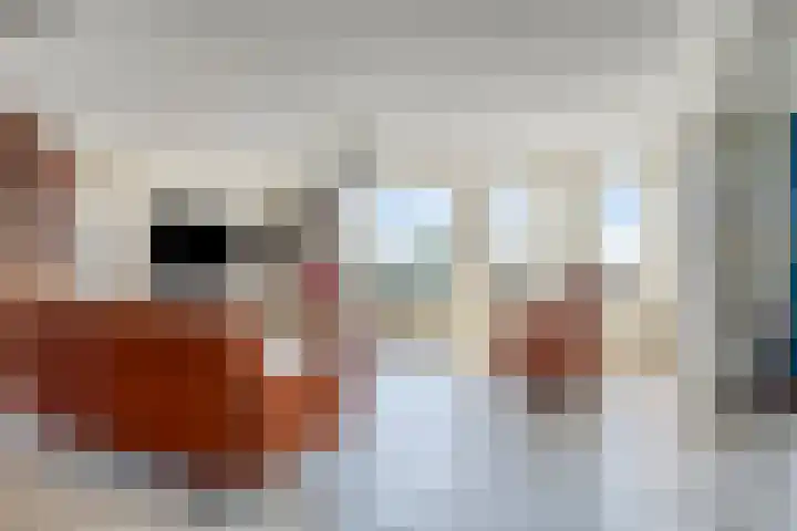 IJsselzoom 52 Capelle aan den IJssel thumbnail 6