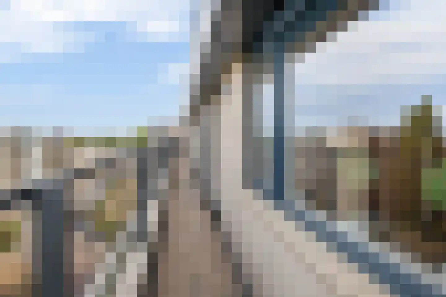 IJsselzoom 72 Capelle aan den IJssel thumbnail 34