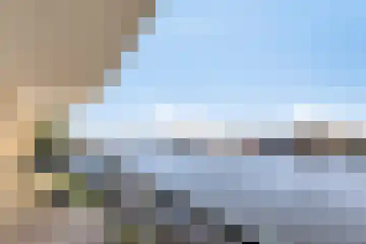 IJsselzoom 78 Capelle aan den IJssel thumbnail 10