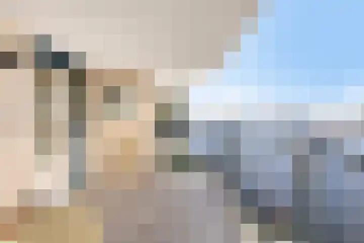 IJsselzoom 78 Capelle aan den IJssel thumbnail 9